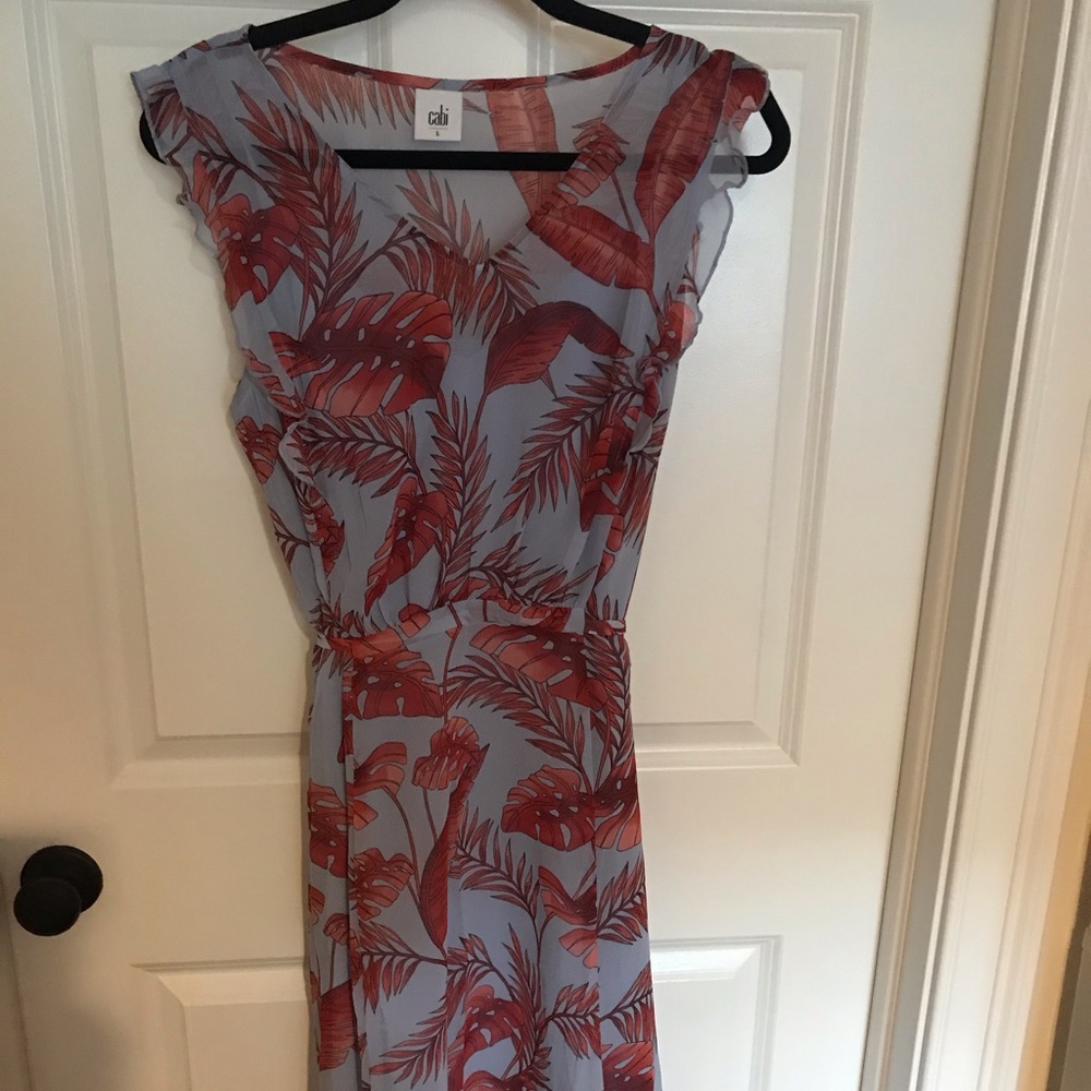 Cabi Isabel dress